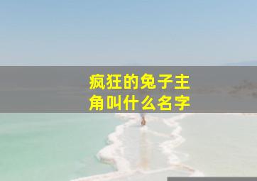 疯狂的兔子主角叫什么名字