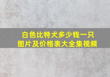 白色比特犬多少钱一只图片及价格表大全集视频