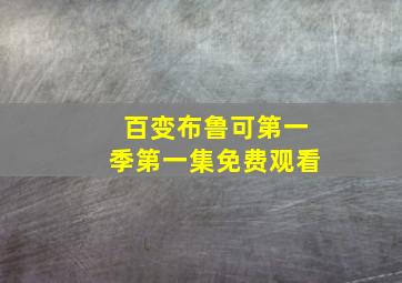 百变布鲁可第一季第一集免费观看