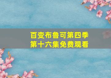 百变布鲁可第四季第十六集免费观看