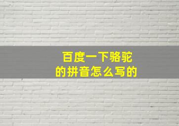 百度一下骆驼的拼音怎么写的