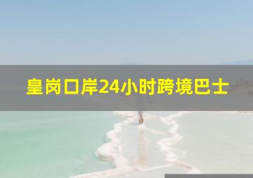 皇岗口岸24小时跨境巴士