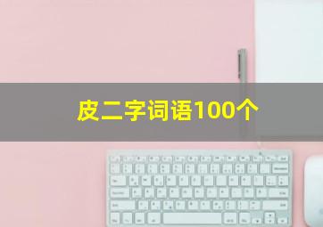 皮二字词语100个