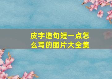 皮字造句短一点怎么写的图片大全集