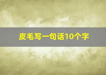 皮毛写一句话10个字