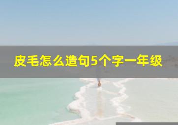 皮毛怎么造句5个字一年级