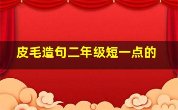 皮毛造句二年级短一点的