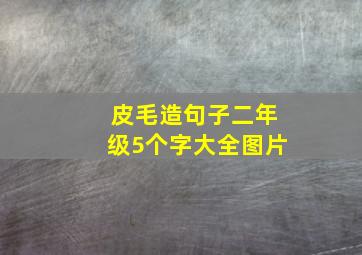 皮毛造句子二年级5个字大全图片