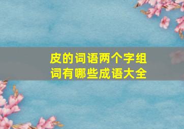 皮的词语两个字组词有哪些成语大全