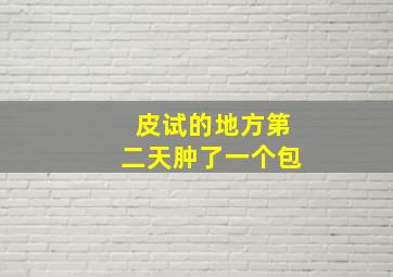 皮试的地方第二天肿了一个包