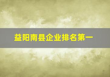 益阳南县企业排名第一