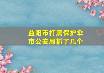 益阳市打黑保护伞市公安局抓了几个