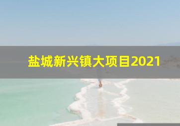 盐城新兴镇大项目2021