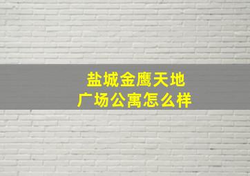 盐城金鹰天地广场公寓怎么样