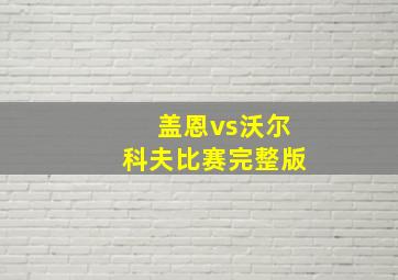 盖恩vs沃尔科夫比赛完整版