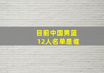 目前中国男篮12人名单是谁