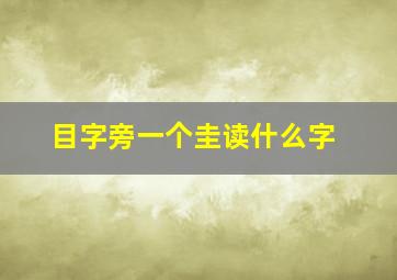 目字旁一个圭读什么字