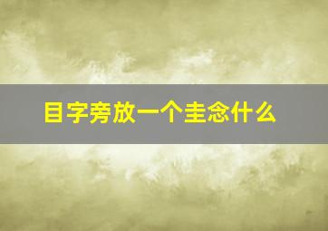 目字旁放一个圭念什么