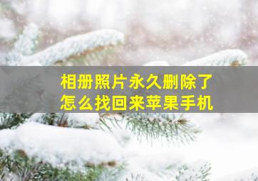 相册照片永久删除了怎么找回来苹果手机