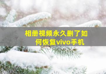 相册视频永久删了如何恢复vivo手机