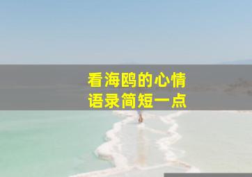 看海鸥的心情语录简短一点