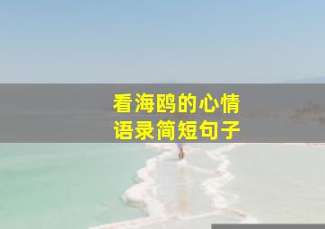 看海鸥的心情语录简短句子