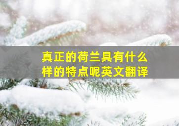 真正的荷兰具有什么样的特点呢英文翻译