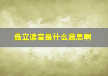 矗立读音是什么意思啊