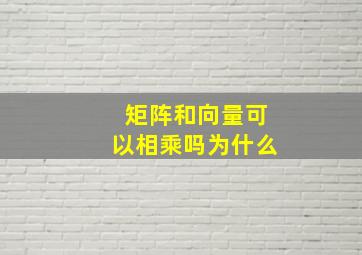 矩阵和向量可以相乘吗为什么