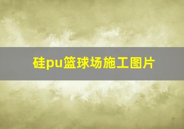 硅pu篮球场施工图片