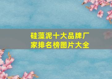 硅藻泥十大品牌厂家排名榜图片大全