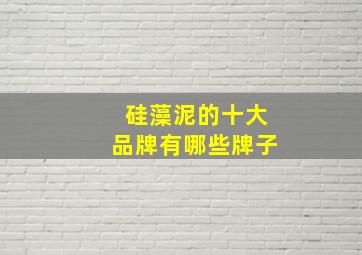 硅藻泥的十大品牌有哪些牌子