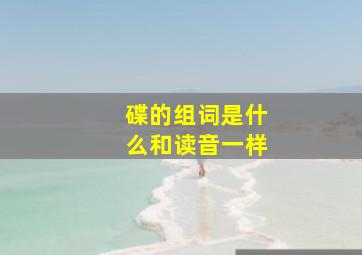 碟的组词是什么和读音一样