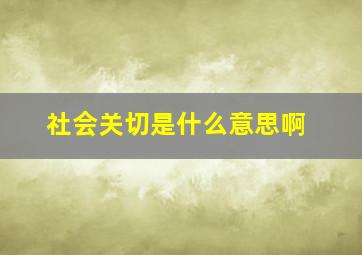 社会关切是什么意思啊