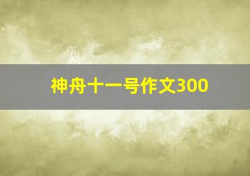 神舟十一号作文300