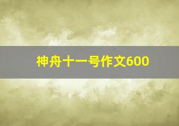 神舟十一号作文600