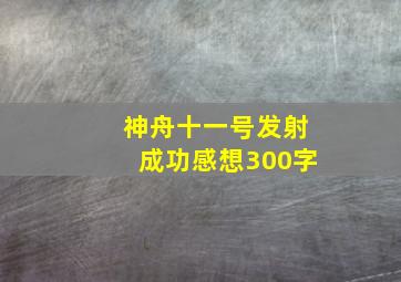 神舟十一号发射成功感想300字