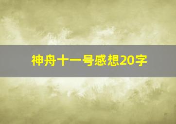 神舟十一号感想20字