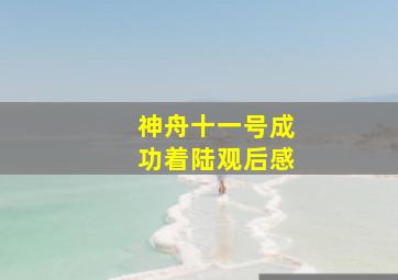 神舟十一号成功着陆观后感