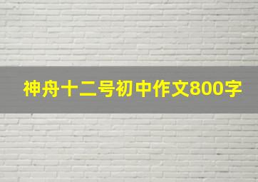 神舟十二号初中作文800字