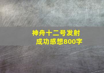 神舟十二号发射成功感想800字