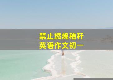 禁止燃烧秸秆英语作文初一