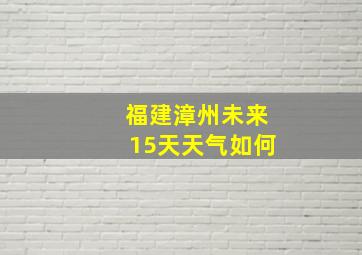 福建漳州未来15天天气如何