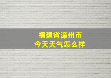 福建省漳州市今天天气怎么样