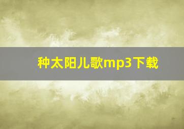 种太阳儿歌mp3下载