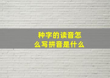 种字的读音怎么写拼音是什么