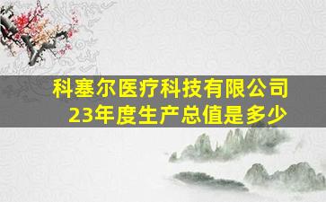 科塞尔医疗科技有限公司23年度生产总值是多少