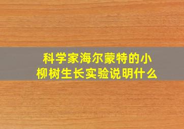 科学家海尔蒙特的小柳树生长实验说明什么