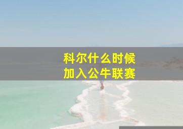 科尔什么时候加入公牛联赛