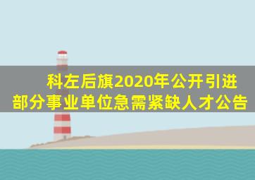 科左后旗2020年公开引进部分事业单位急需紧缺人才公告